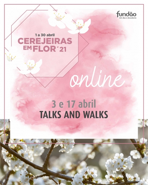 talks_ceerejeiras_flor